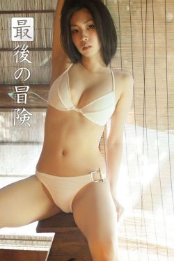 暮色大丽菊